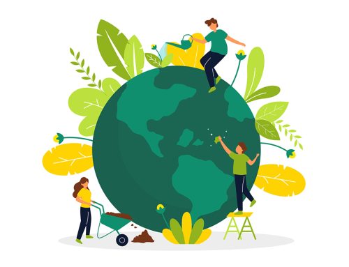 Debunking the Myths of Sustainability in Service